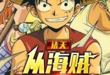 诸天:从海贼开始签到小说完结版章节免费阅读-个性文学