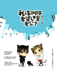 我该叫你老婆还是老公？慕青谭牧小说大结局免费试读