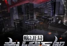 小说《啥?开局竟让我瓦解黑暗势力》在线章节阅读-个性文学