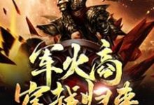 寻找能够免费阅读军火商穿越归来小说的平台-个性文学