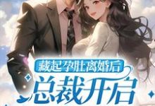 男女主人公温宛陆司衍小说藏起孕肚离婚后，总裁开启跪妻模式章节免费阅读-个性文学