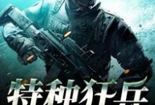 免费阅读韩枫聂鑫雅肖娜为主角的小说,特种狂兵在线看-个性文学