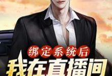 主角林尘小说完结版在线阅读,绑定系统后,我在直播间甩卖通缉犯免费看-个性文学