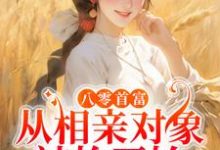 八零首富：从相亲对象被抢开始 潘玉兰萧启小说在线章节免费阅读-个性文学