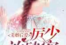 先婚后爱：厉少，放肆宠主角苏晓厉铭寒苏雪陆逸景小说完结版章节在线阅读-个性文学