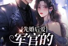 在线寻找先婚后爱:军官的绝世医妻小说的无删减版本-个性文学