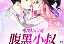 舒欢霍靳城为主角的小说叫什么？免费看先婚后爱：腹黑小叔把我宠上天-个性文学