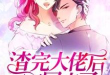 顾晚顾雪顾明宸宋清越是哪本书的主角？寻找渣完大佬后我又穿回来了免费阅读-个性文学