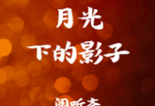 主角叫柳春禾沈飞的小说在哪阅读-个性文学