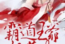 霸道王爷妖孽妃小说的免费阅读版本在哪里可以找到?-个性文学