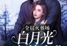 小说《全员火葬场,白月光只想搞事业》章节免费阅读-个性文学