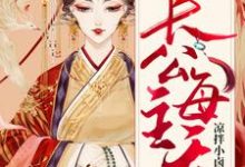 哪里可以免费读到沈千伶赫连风的完整故事？寻找长公主每天都在翻车-个性文学