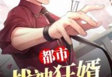 完结版《都市战神狂婿》在线免费阅读-个性文学