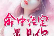 命中注定遇见你小说，命中注定遇见你在线阅读-个性文学