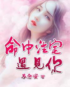 命中注定遇见你小说，命中注定遇见你在线阅读