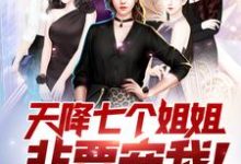 天降七个姐姐非要宠我！免费阅读，天降七个姐姐非要宠我！王术莫向晚白吟霜沈冰-个性文学