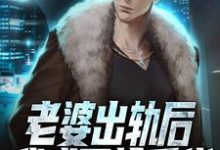 《老婆出轨后,我成了抢手货》全集免费在线阅读(王宇)-个性文学