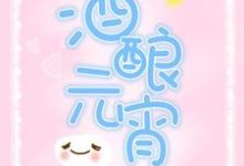 已完结小说《酒酿元宵》章节在线阅读-个性文学