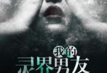 我的灵界男友小说,我的灵界男友免费阅读-个性文学