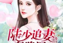 陆少追妻套路深这本小说怎么样?免费在线阅读试试-个性文学