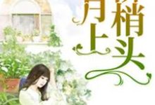 孙乔乔万莹莹蔡一翔海阔小说在线章节免费阅读(月上柳梢头无弹窗无删减)-个性文学