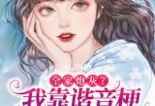 秦以漾陆晏之为主角的小说叫什么?免费看全家炮灰?我靠谐音梗修改剧情逆袭-个性文学