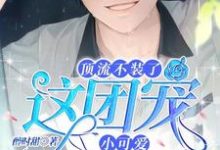 顶流不装了,这团宠小可爱我要了章节免费在线阅读,苏允儿时宴完结版-个性文学