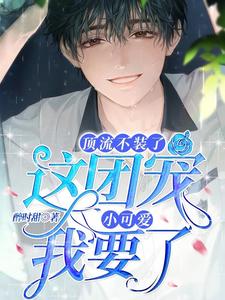 顶流不装了，这团宠小可爱我要了章节免费在线阅读，苏允儿时宴完结版