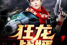 狂龙战婿叶尘陆凌霜靓坤马巧兰小说免费阅读-个性文学