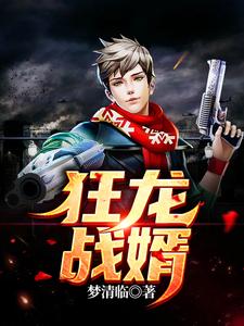 狂龙战婿叶尘陆凌霜靓坤马巧兰小说免费阅读