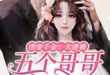 团宠千金:大佬被五个哥哥宠翻了江思意穆执小说大结局免费试读-个性文学