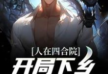 人在四合院,开局下乡插队北大荒小说有没有完结版在线?-个性文学