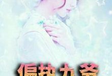 许星漫江御的故事在哪本书里?免费阅读偏执九爷放肆宠-个性文学