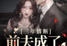 三年情断,前夫成了追妻狂魔许蔚蓝陆子沉在线章节免费阅读-个性文学