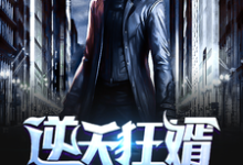 完结版《逆天狂婿》章节阅读-个性文学