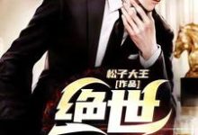 绝世医婿小说的免费阅读版本在哪里可以找到？-个性文学