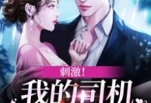 求刺激!我的司机是霸总本霸小说免费资源-个性文学