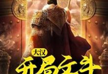 大汉：开局文斗魏国使臣小说的无弹窗阅读体验，寻找免费阅读网站-个性文学