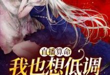 寻找能够免费阅读直播算命:我也想低调,实力不允许小说的平台-个性文学