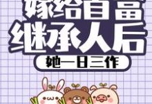 嫁给首富继承人后,她一日三作这本小说怎么样?免费在线阅读试试-个性文学