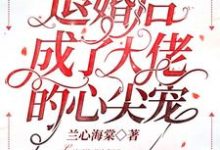 退婚后成了大佬的心尖宠这本小说在哪里可以看?哪里有免费试读章节?-个性文学