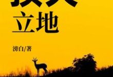 顶天立地这本小说在哪里可以看?哪里有免费试读章节?-个性文学