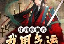 主人公叫秦兽的小说穿到修仙界，我用气运转盘成神在线阅读章节-个性文学