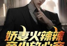 娇妻火辣辣：帝少放心宠小说，娇妻火辣辣：帝少放心宠最新章节-个性文学