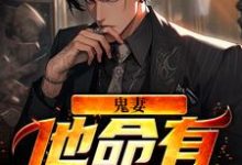 鬼妻:他命有红源韩九坤殷霜在线章节免费阅读-个性文学