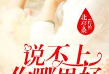 夏远周竞存贺敏之江慎霆的完整故事在哪里？读说不上你哪里好，我却忘不了小说-个性文学