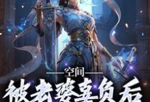 空间：被老婆辜负后，我只想摆烂叶沧澜，空间：被老婆辜负后，我只想摆烂小说免费阅读-个性文学