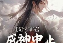 小说《记忆曝光:成神中止,我去保护妹妹》章节免费阅读-个性文学