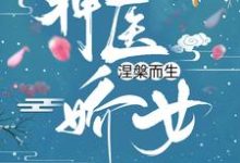 神医娇女涅槃而生沈青鸾风璃宸小说在线章节目录阅读最新章节-个性文学