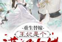 凤锦瑟萧华年小说叫什么（重生替嫁，王妃是个满级大佬免费阅读）-个性文学